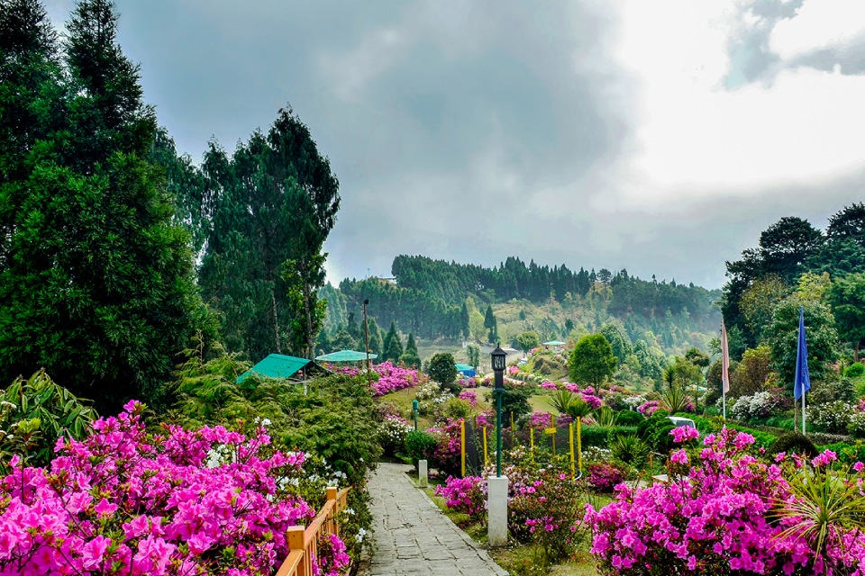 Serene Sikkim & Darjeeling Getaway